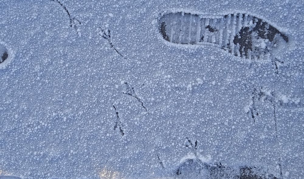 Photograph by Наталья Сорокина