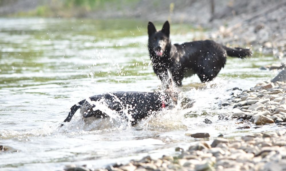 Photograph by Наталья Сорокина