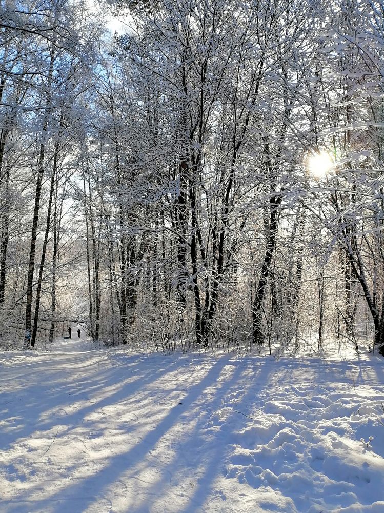 Photograph by Ксения Мельникова