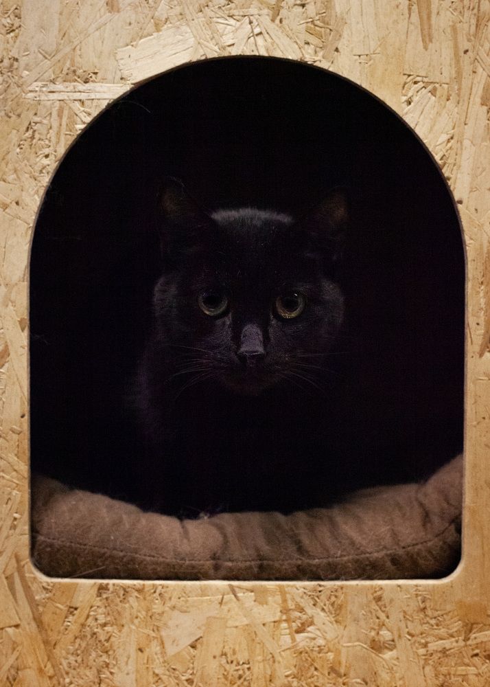 Photograph by Анна Брагина