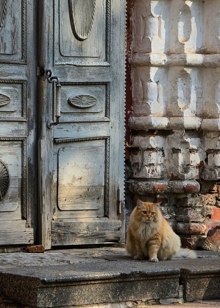 Photograph by Анастасия Онацкая