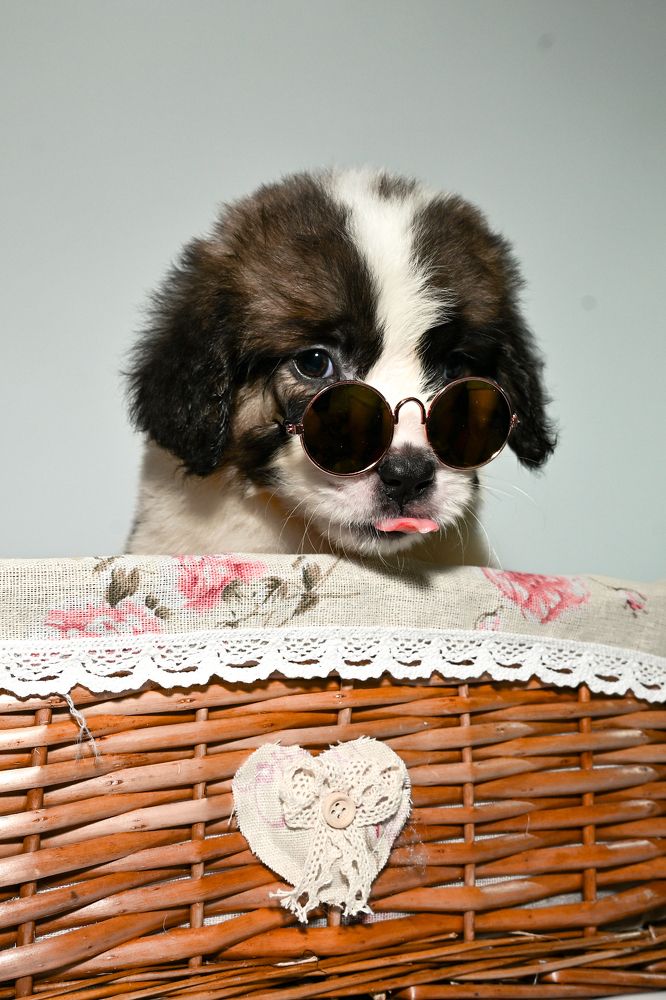 Photograph by Алексей