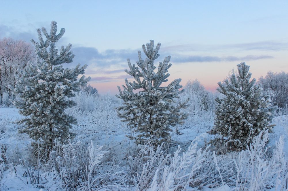 Photograph by Ольга Ситникова