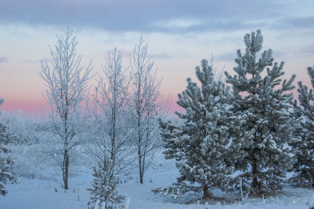 Photograph by Ольга Ситникова