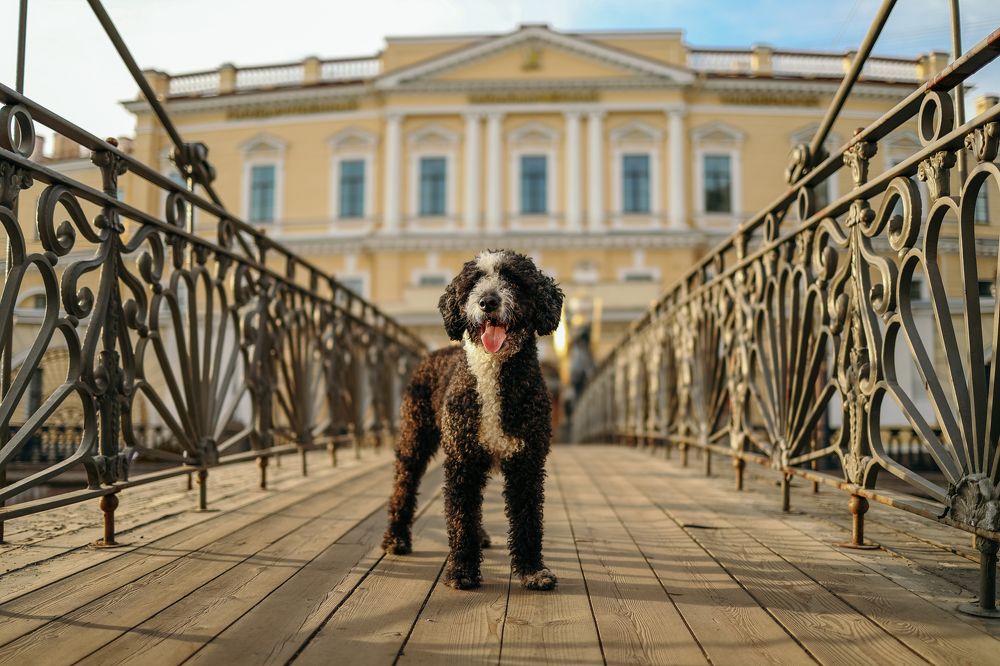 Photograph by Жаренко Евгения