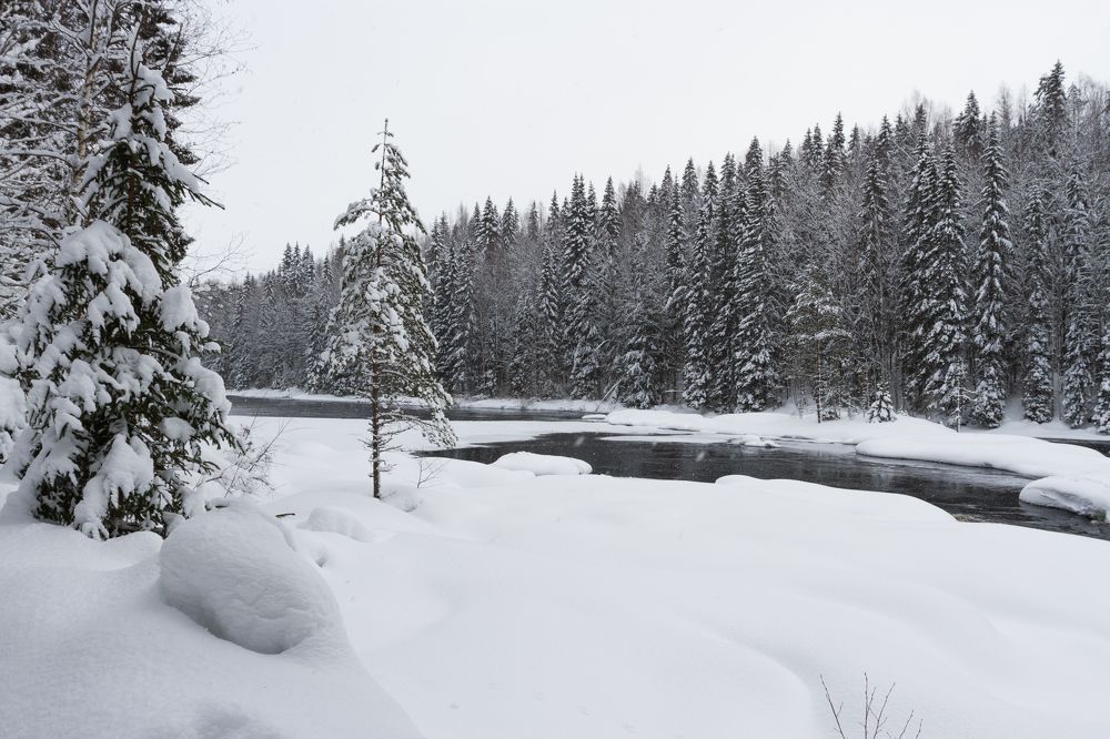 Photograph by Pavel Gukov