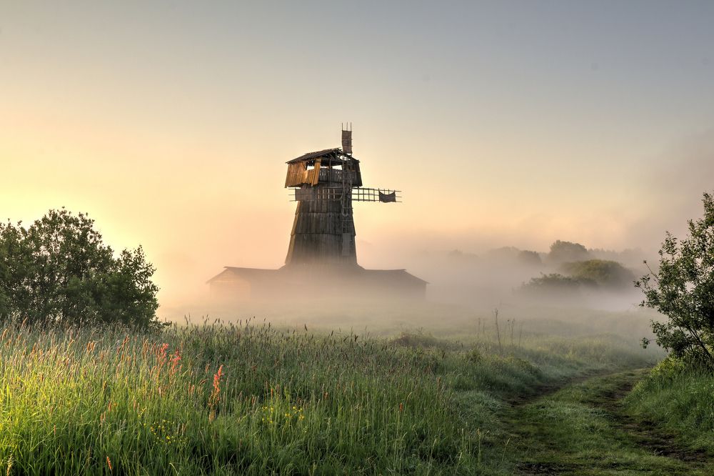 Photograph by Добролюбова Тамара