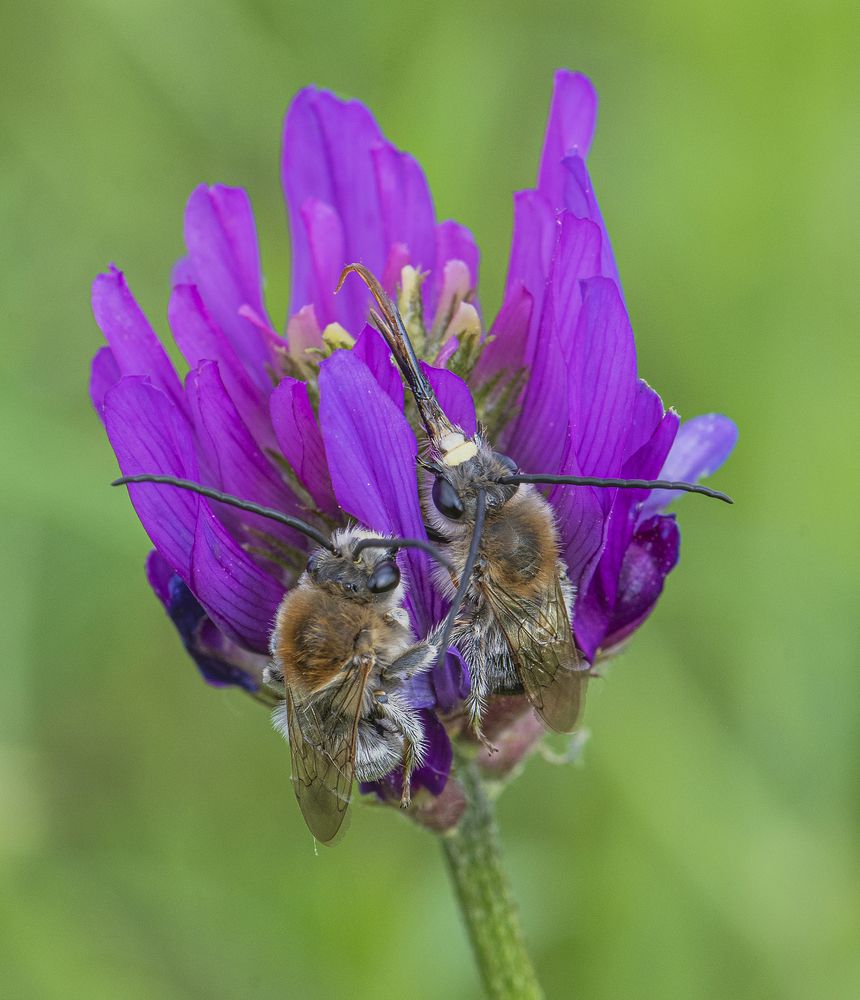 Photograph by ПУЗЕНКО ДМИТРИЙ