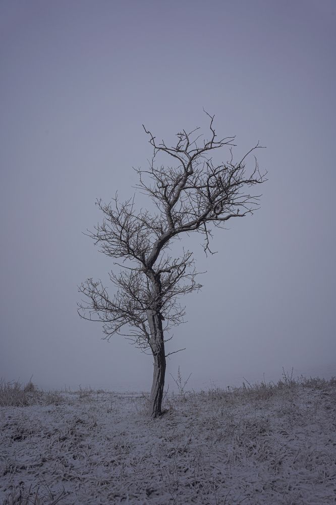 Photograph by Виктор Зотов