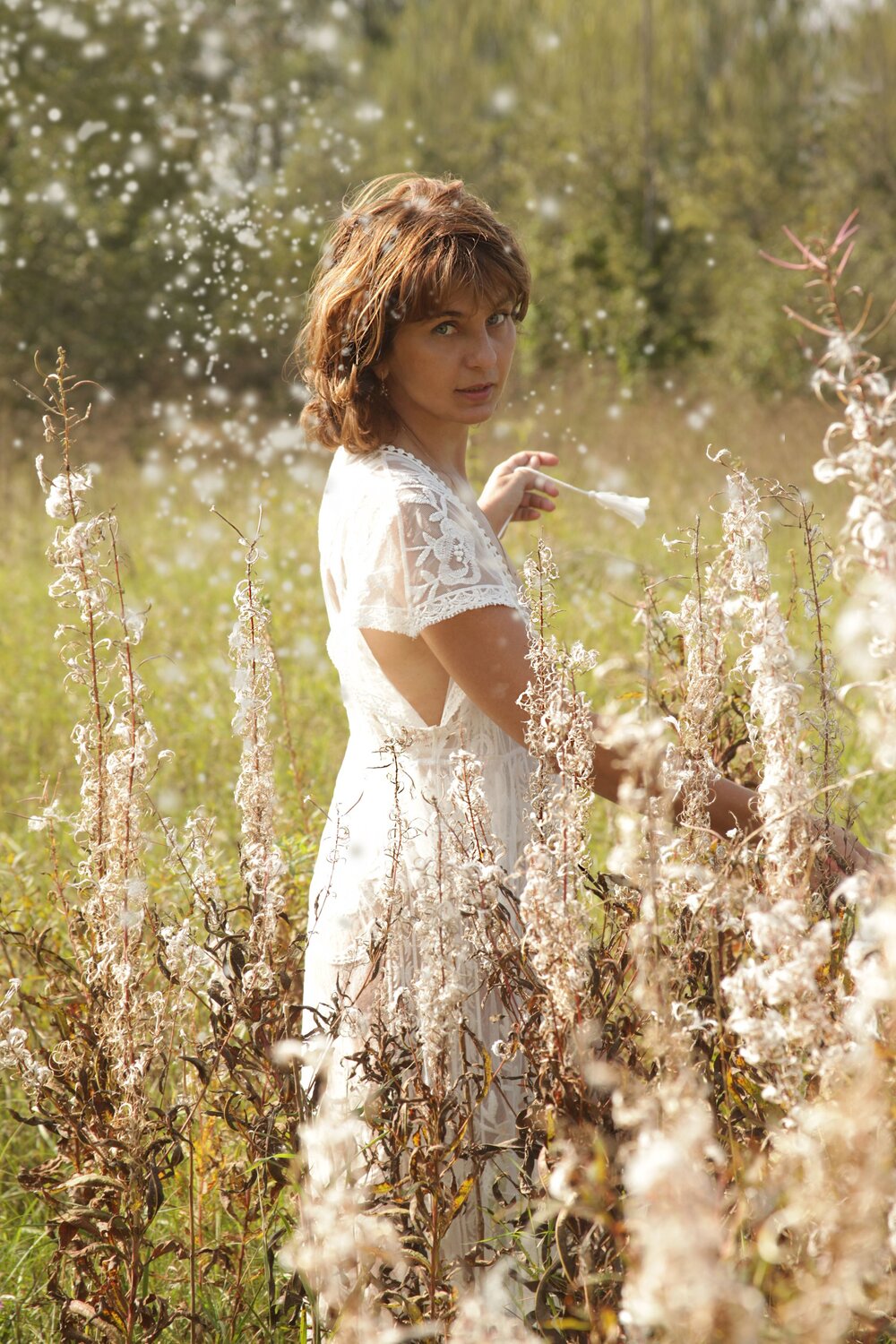 Photo #11675329