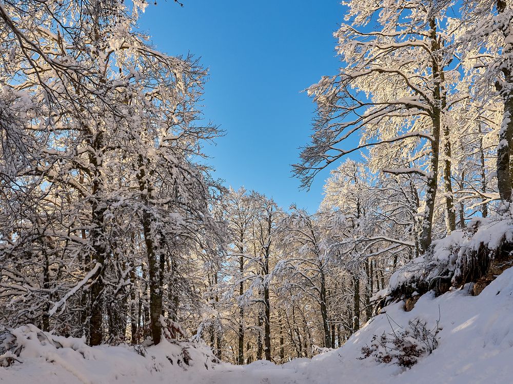 Photograph by Valentin Borsan