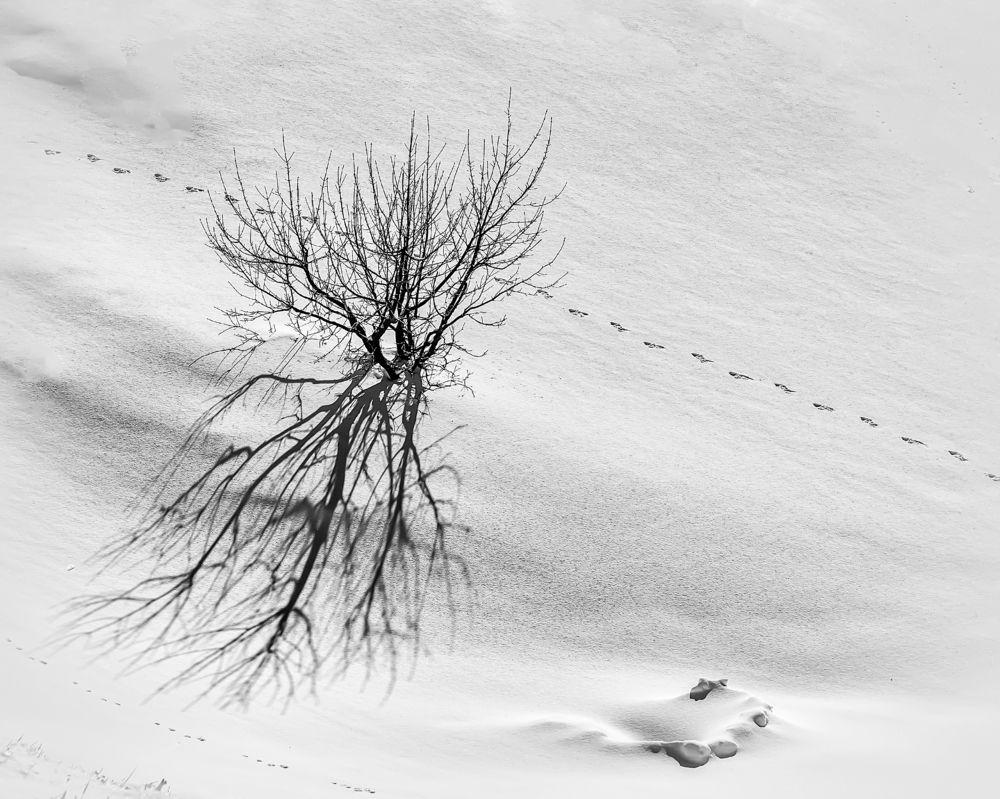 Photograph by Valentin Borsan