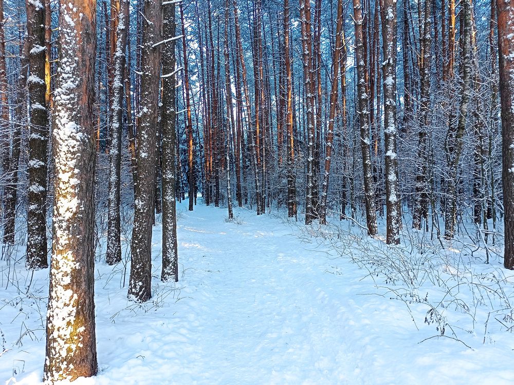 Photo #11675395