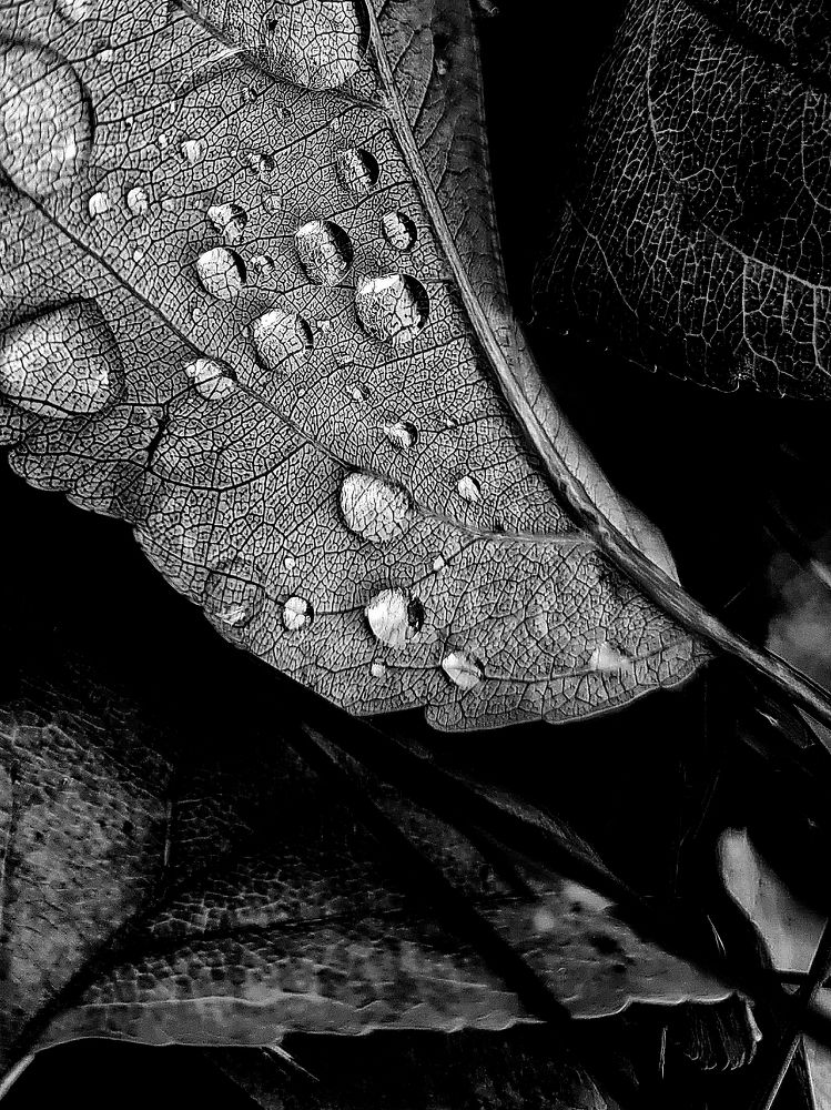 Photograph by Зинаида Савельева