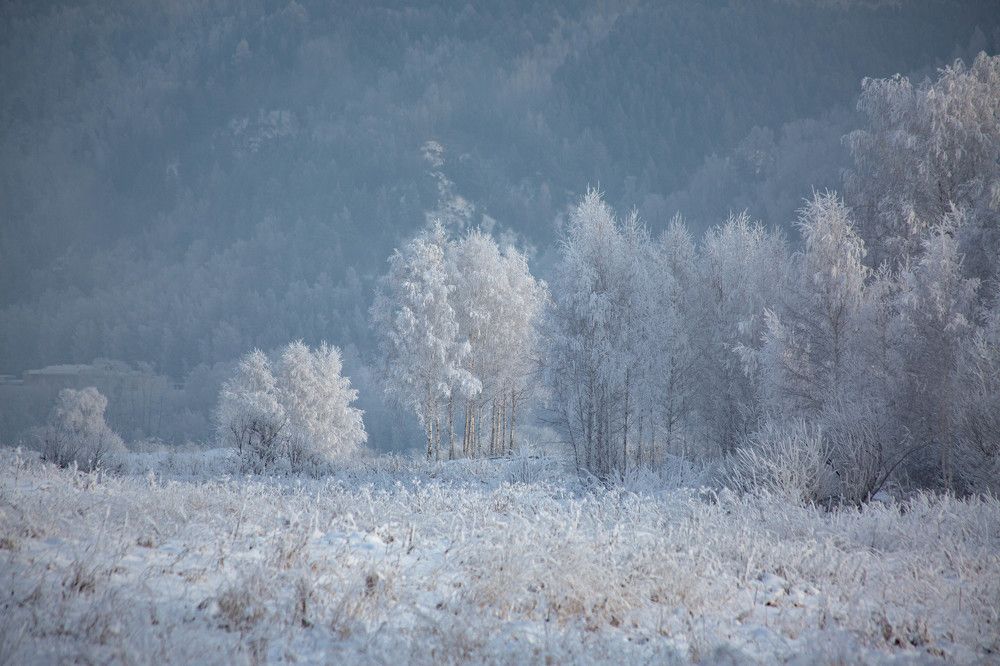 Photograph by Евгений Авдеев