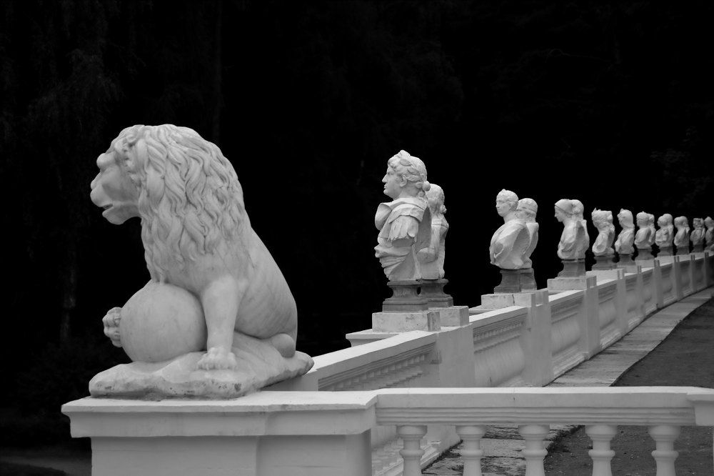 Фотография автора Светлана Долотова