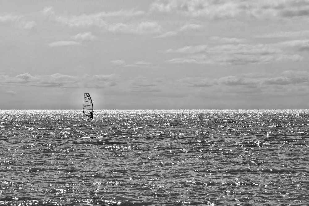 Photograph by A. G. Bisschop