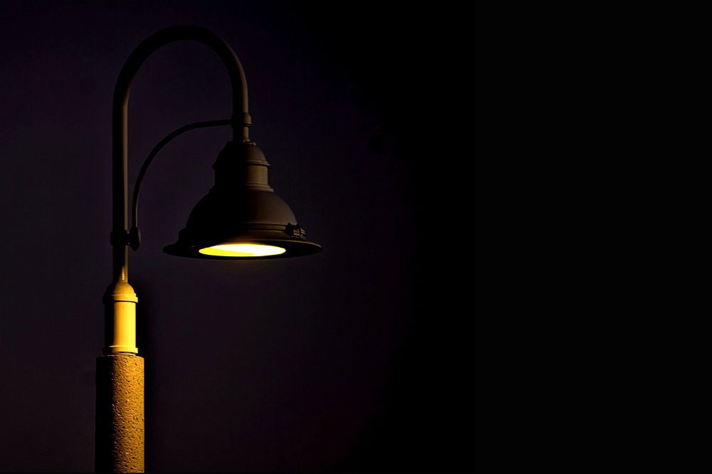 Photograph by A. G. Bisschop