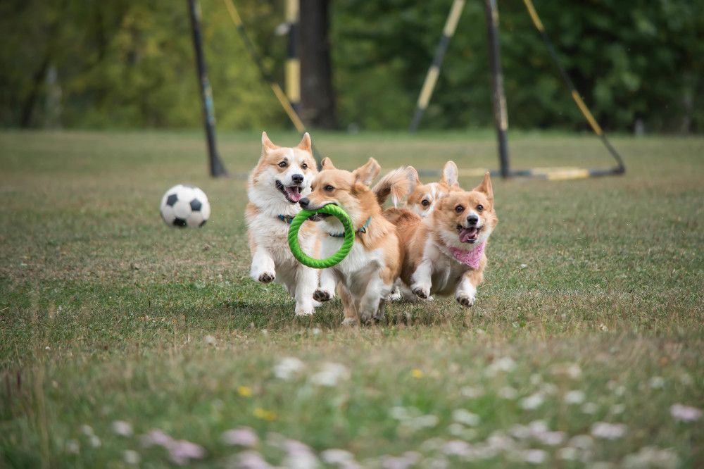 Photograph by Наталья Сорокина