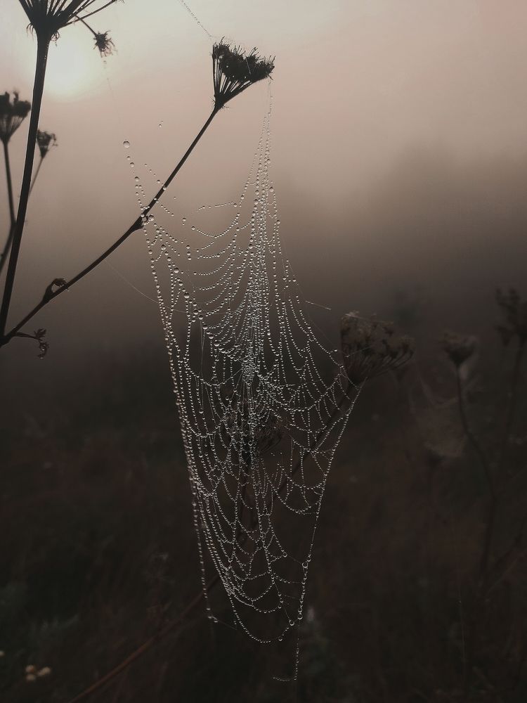 Photograph by Ольга Мартьянова