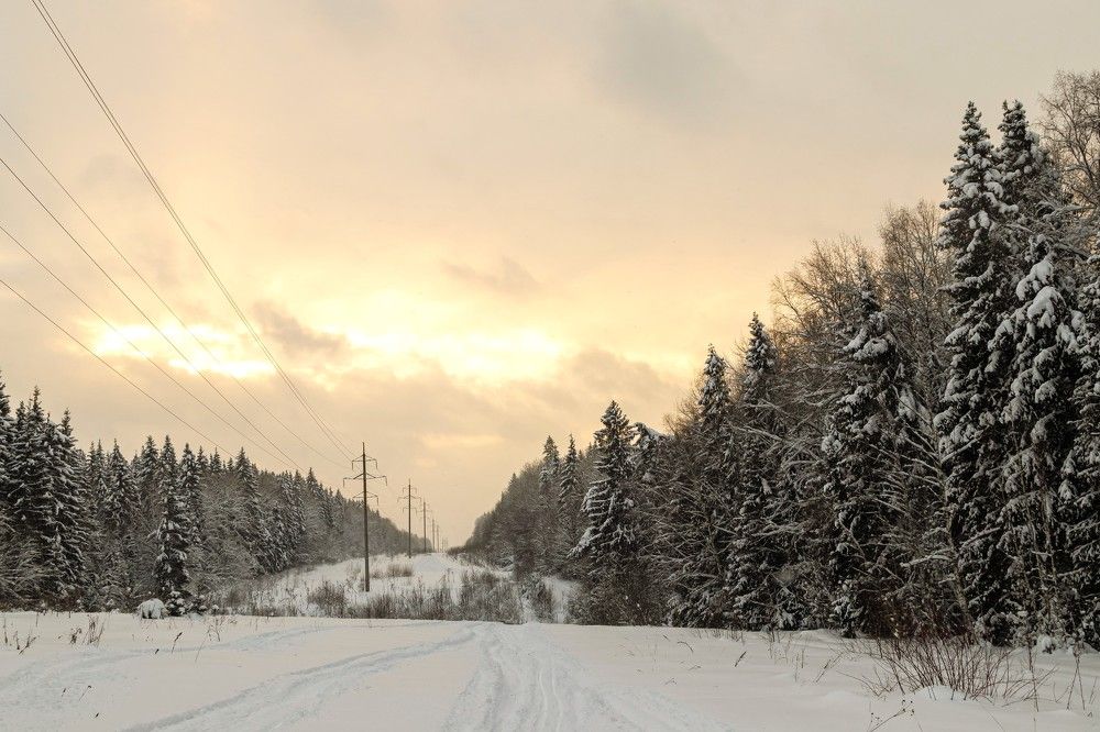 Photograph by Андрей Бовин