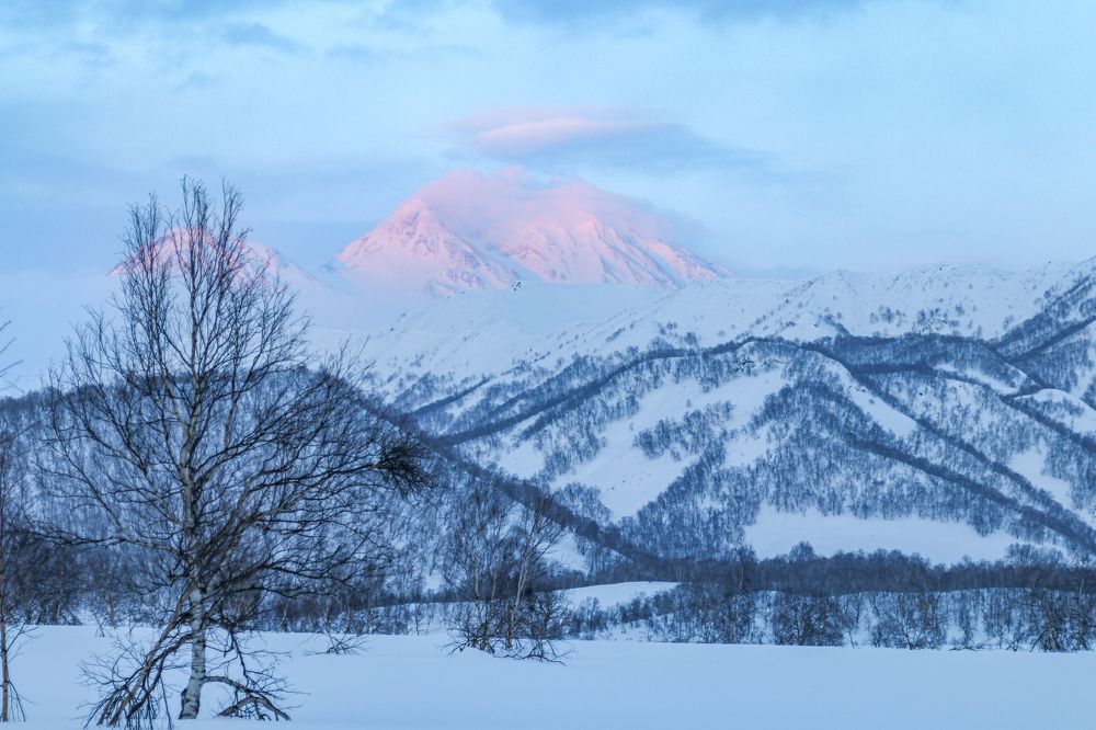 Photograph by Андрей Бовин