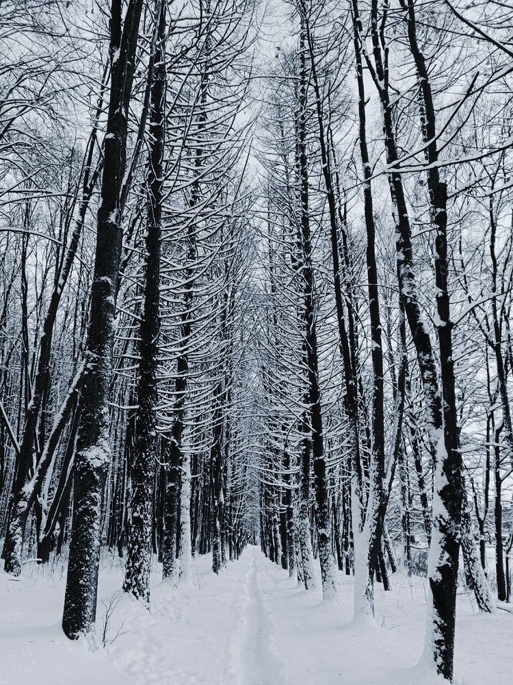 Photograph by Анастасия Мурашкинцева