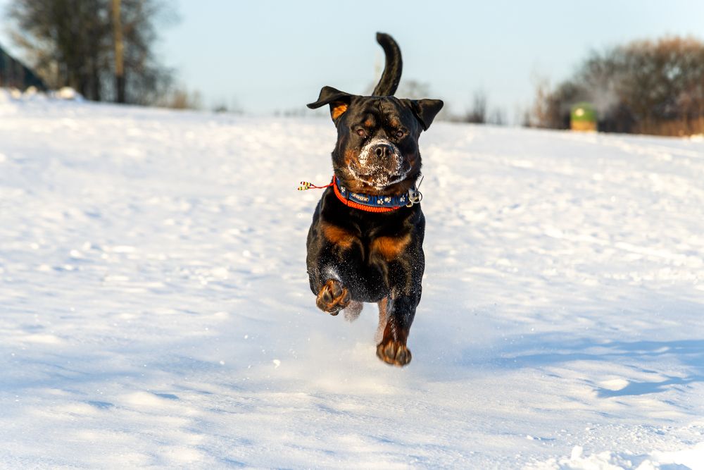 Photograph by Максимова Ольга