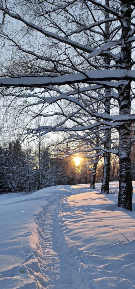 Photograph by Елена Бородулина