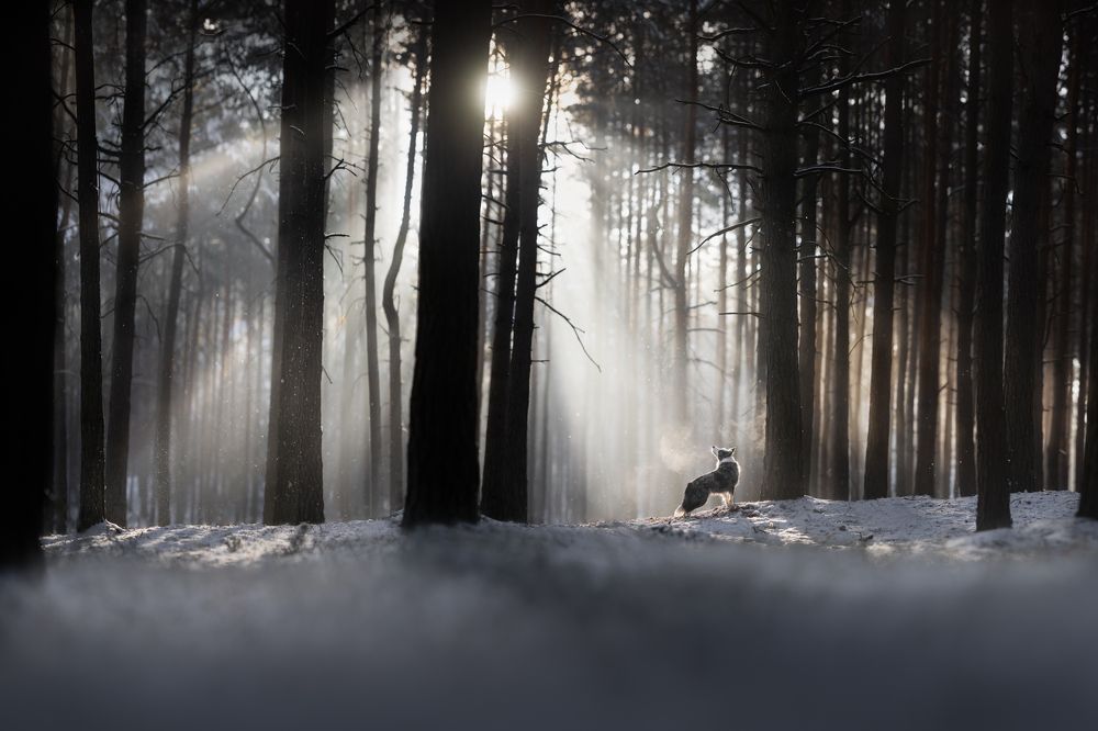 Photograph by Izabela Lyson