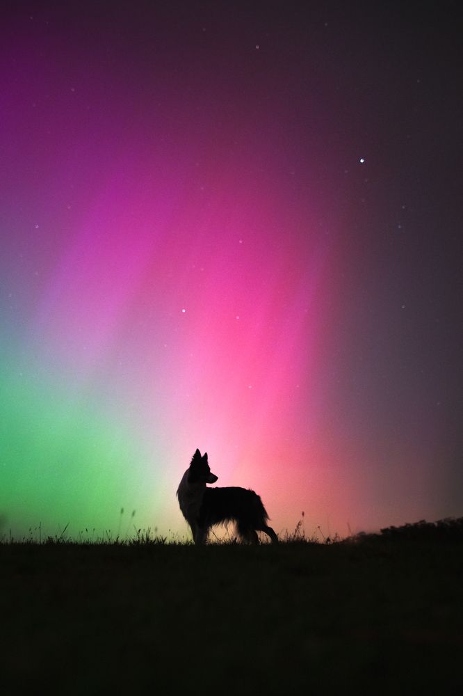 Photograph by Izabela Lyson