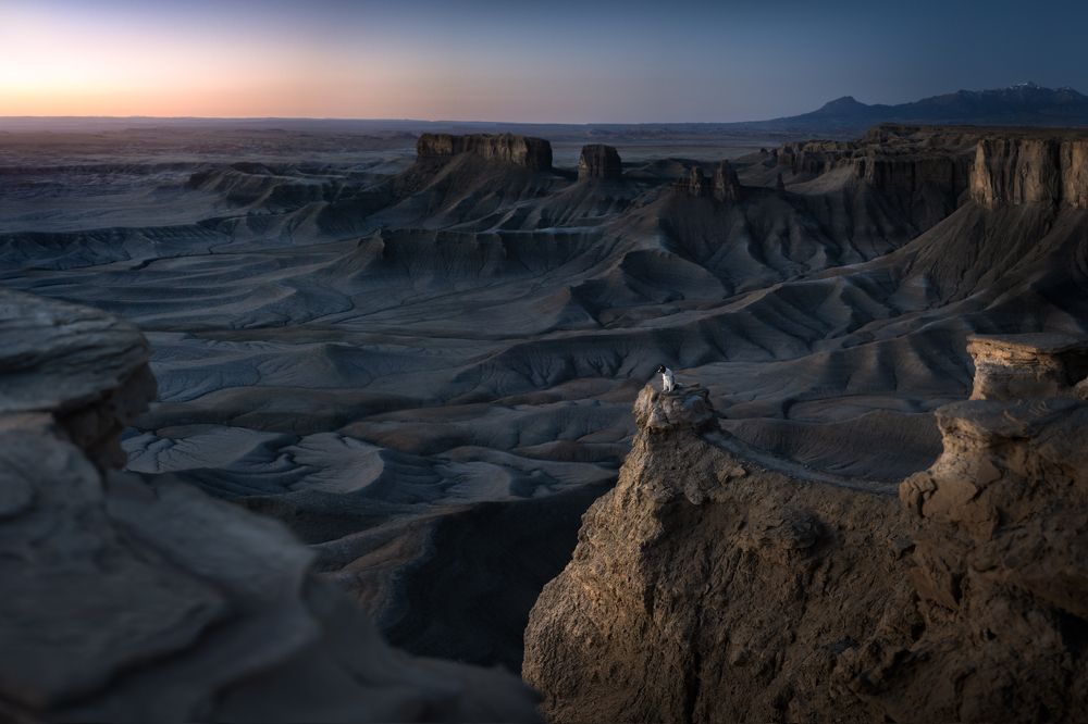 Photograph by Izabela Lyson