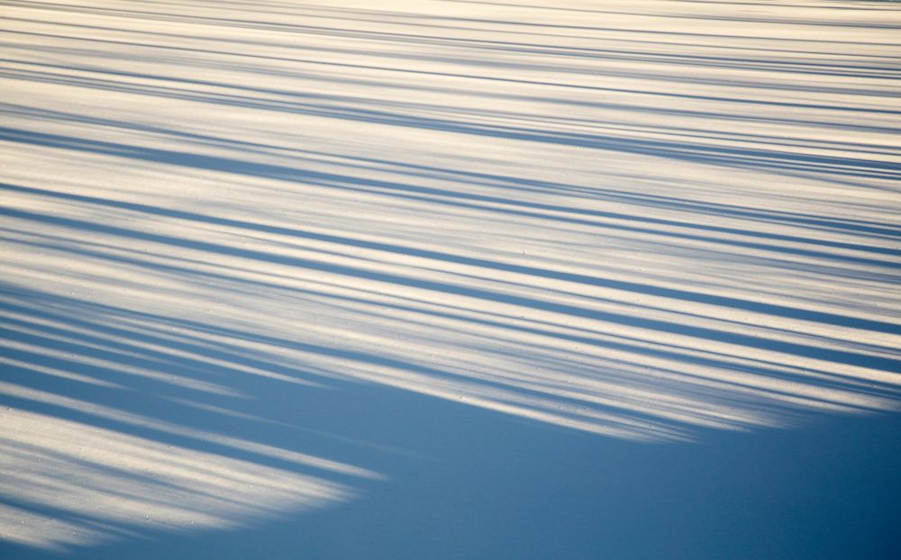 Photograph by Александр Ермаков