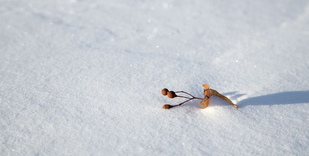 Photograph by Александр Ермаков