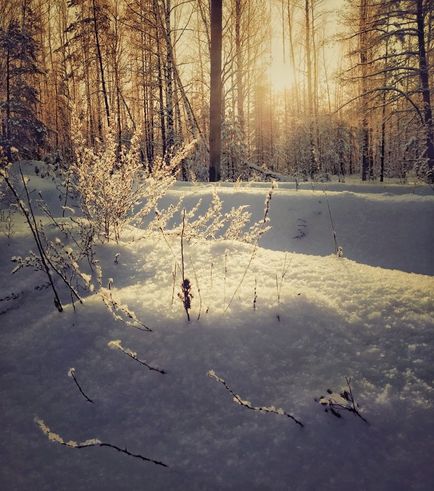 Photograph by Ольга Мартьянова