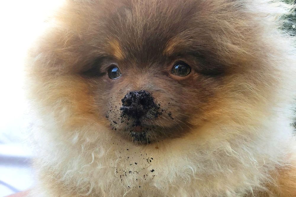 Photograph by Константин Юрченко