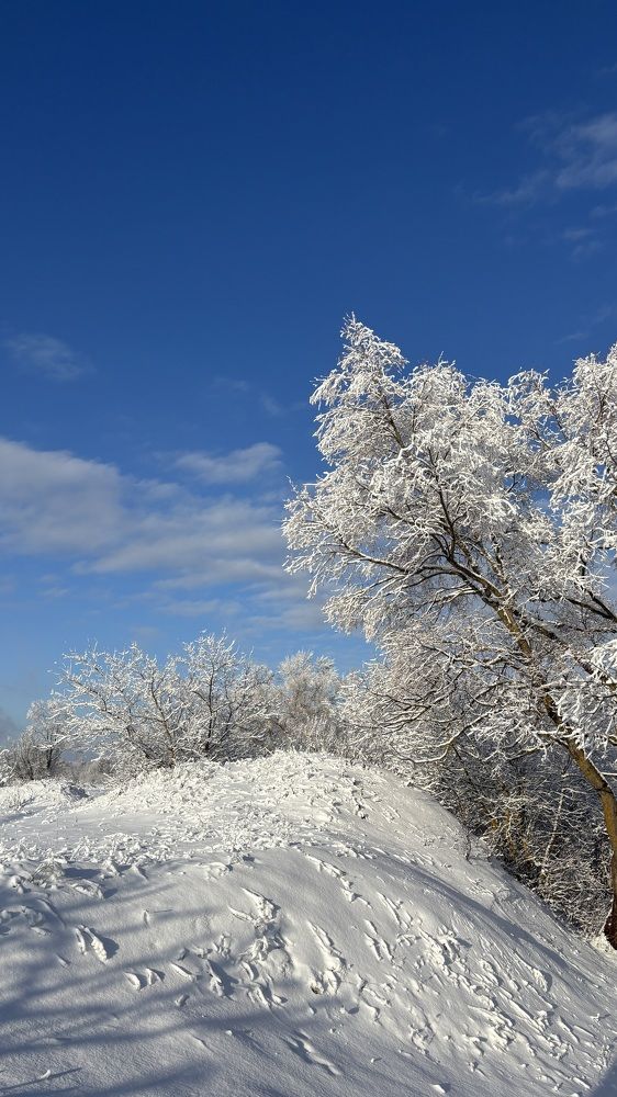 Photograph by Елена Гущина