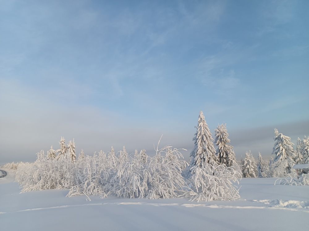 Photograph by Сергей Шевырин