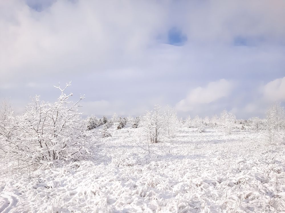 Photograph by Юлия Закопайло