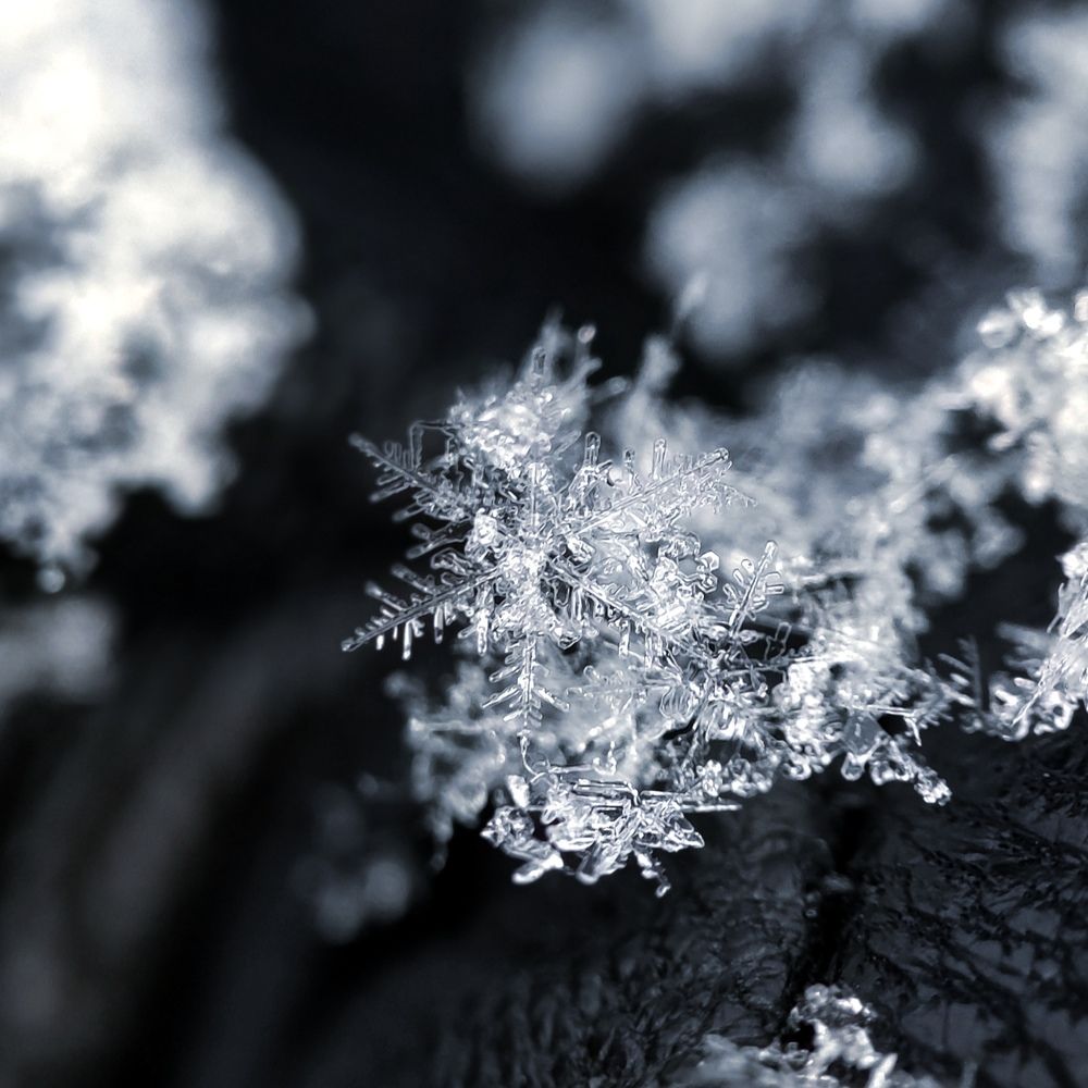 Photograph by Ольга Метлицкая