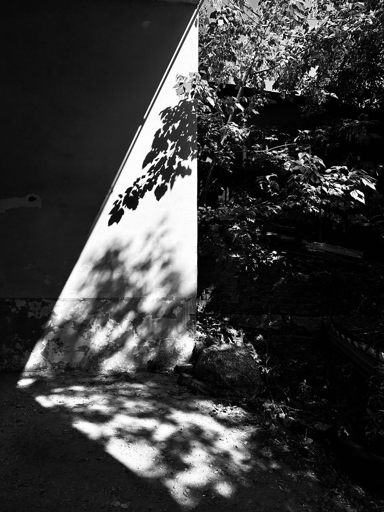 Photograph by Elena Lagutina