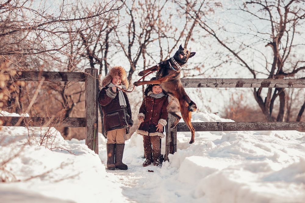 Photograph by Ипатьева Анна