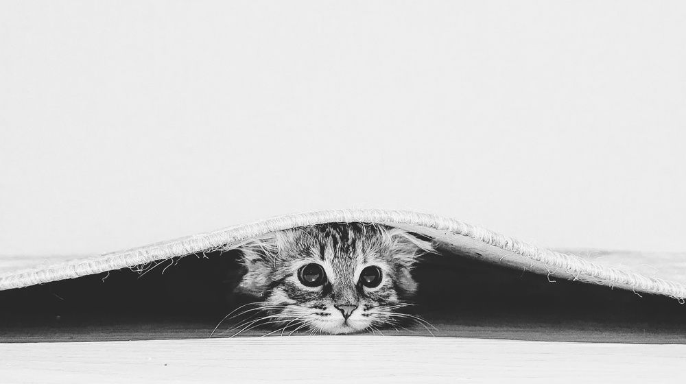 Photograph by Владимир Ковжаров