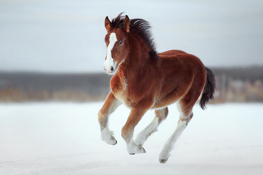 Photograph by Дарья Ералева