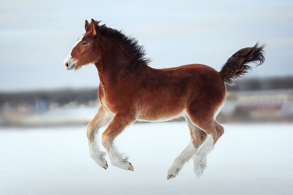 Photograph by Дарья Ералева