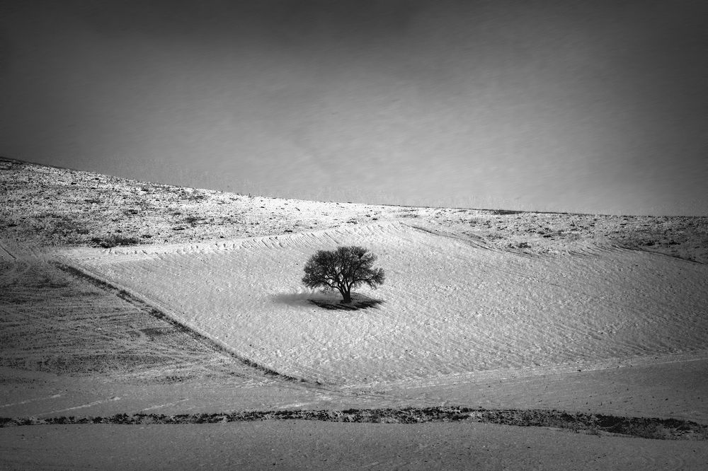 Photograph by Bavehie Farbod