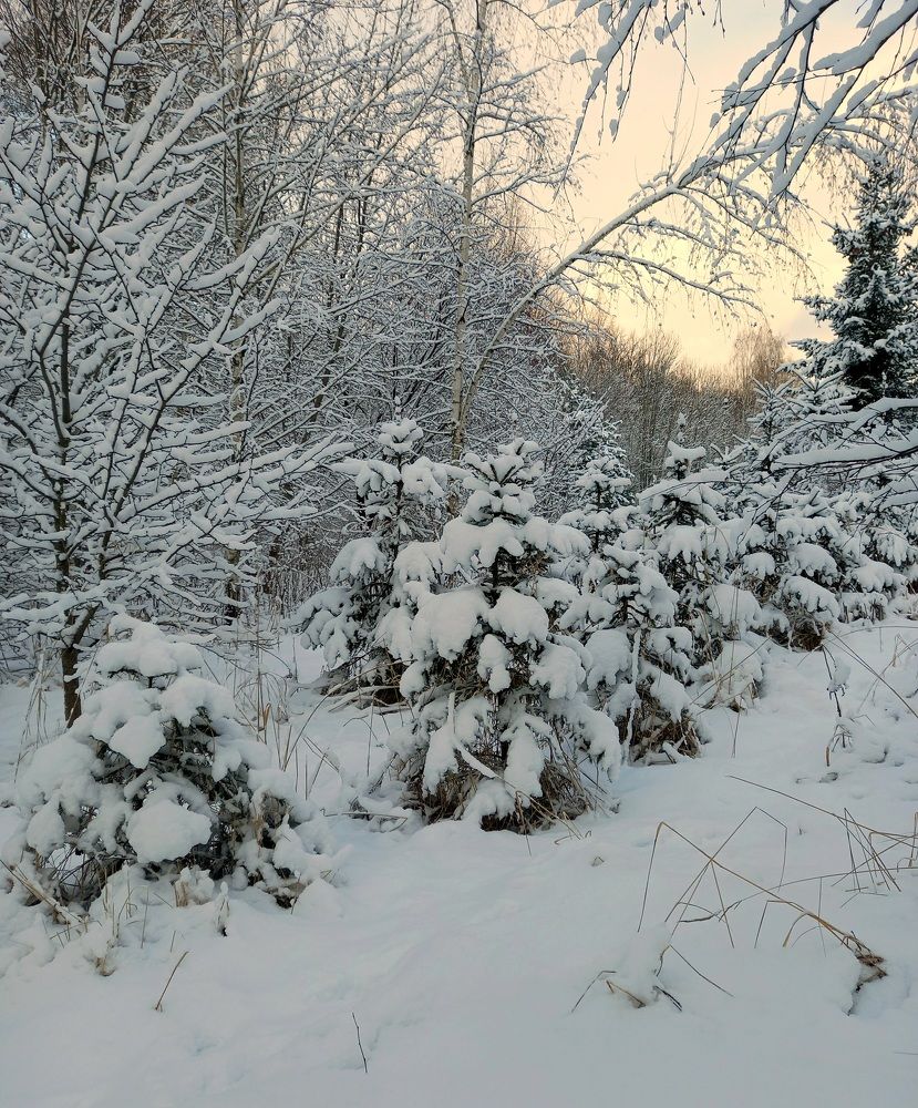 Photograph by Ольга Юрченко