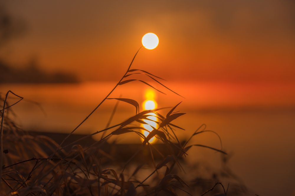 Photograph by Budyta Dariusz