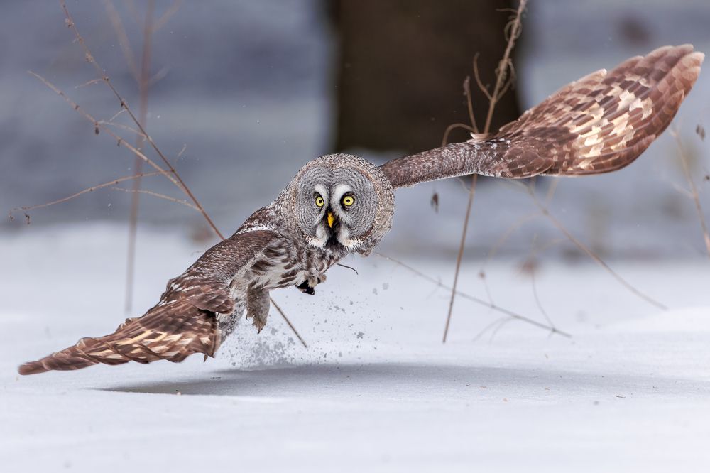 Photograph by Антон Науменко