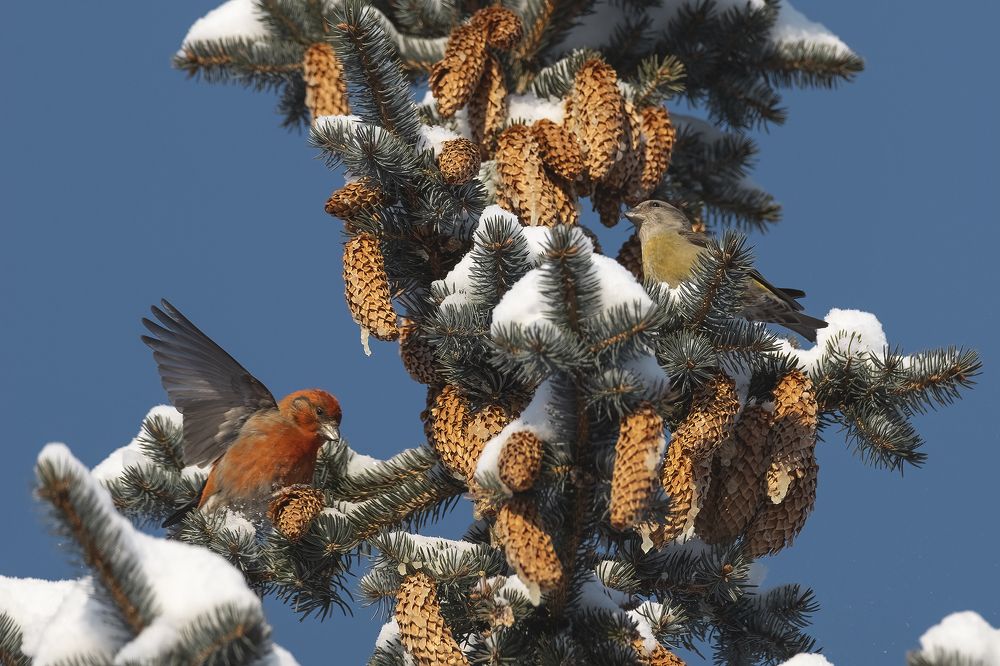 Photograph by Ekaterina Romanova